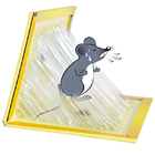 UV Resistance Hot Melt Glue Adhesive Odorless Mouse Catcher Glue